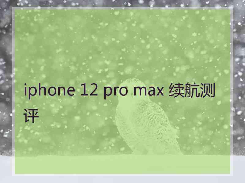 iphone 12 pro max 续航测评