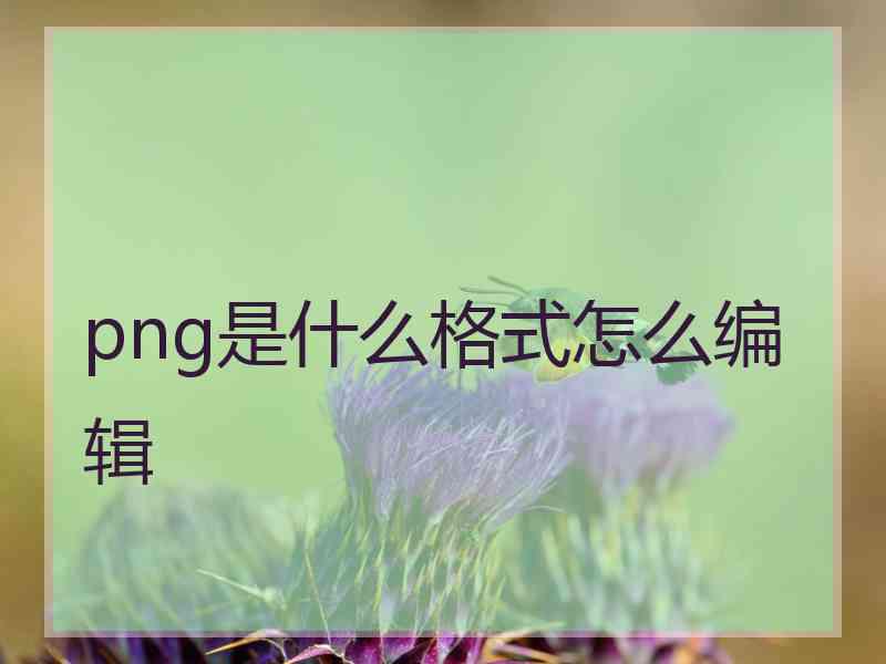 png是什么格式怎么编辑