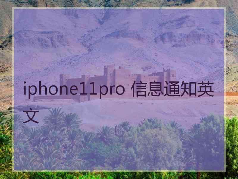 iphone11pro 信息通知英文