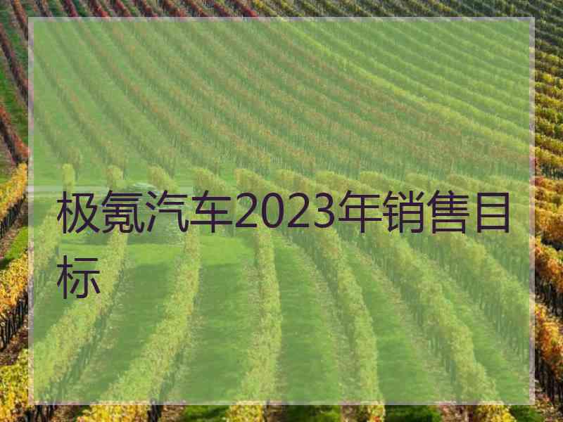 极氪汽车2023年销售目标