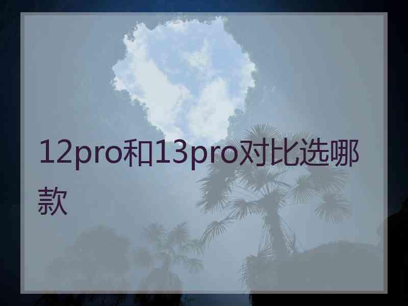 12pro和13pro对比选哪款