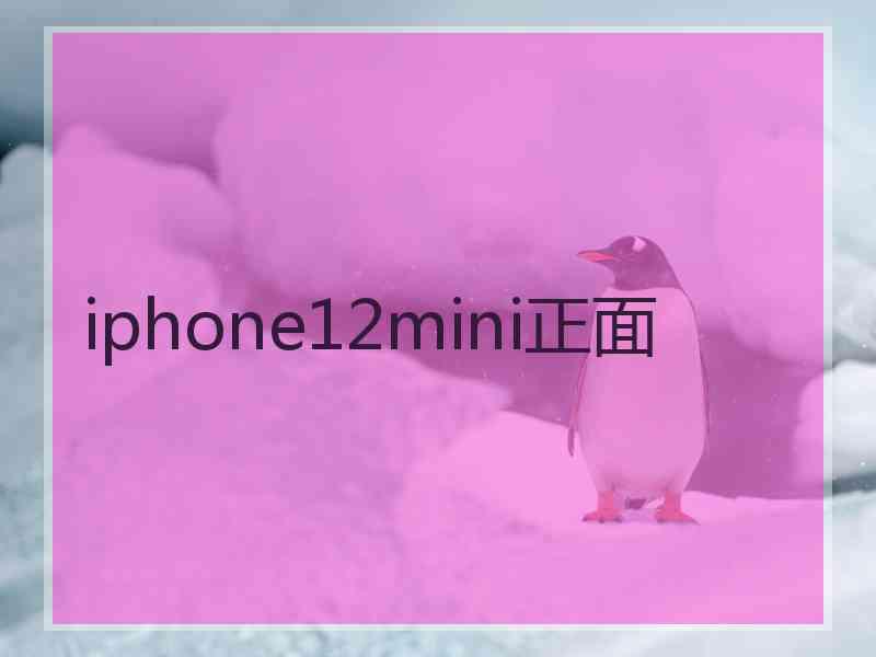 iphone12mini正面