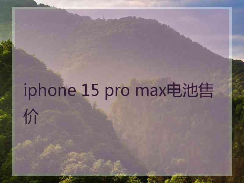 iphone 15 pro max电池售价