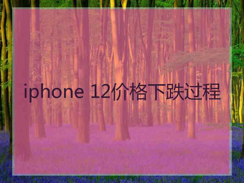 iphone 12价格下跌过程