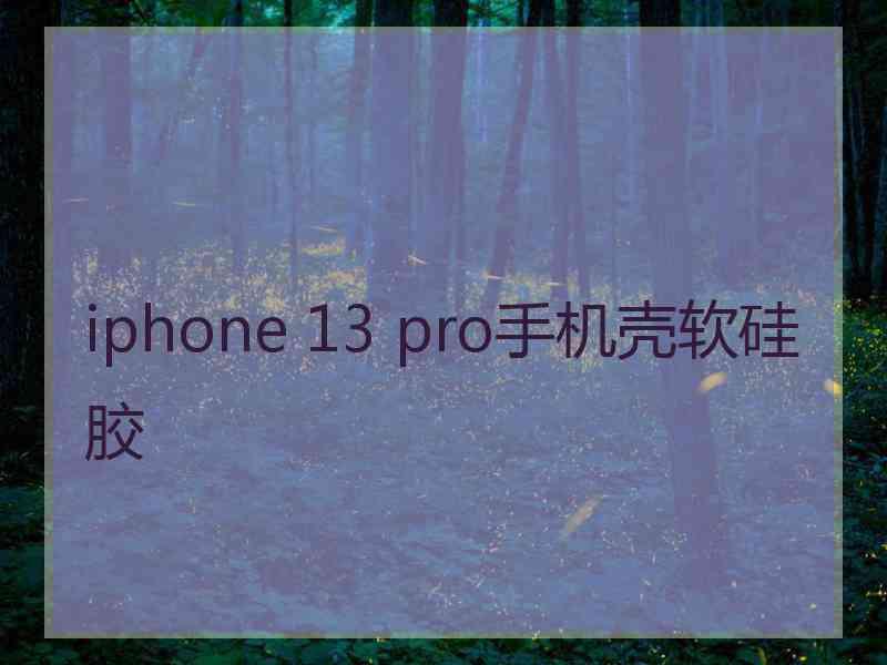 iphone 13 pro手机壳软硅胶