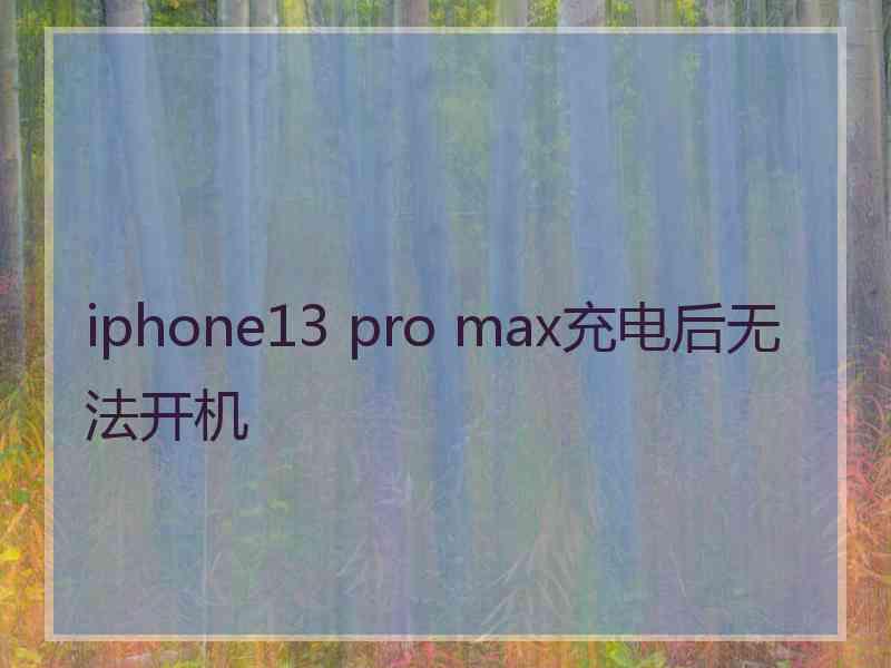 iphone13 pro max充电后无法开机