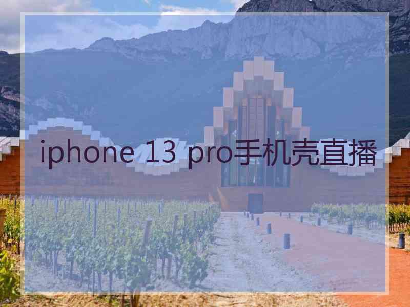 iphone 13 pro手机壳直播