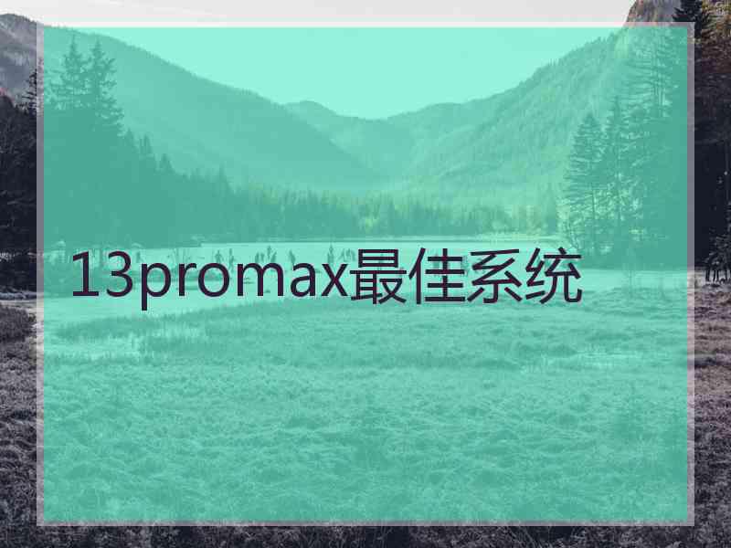 13promax最佳系统