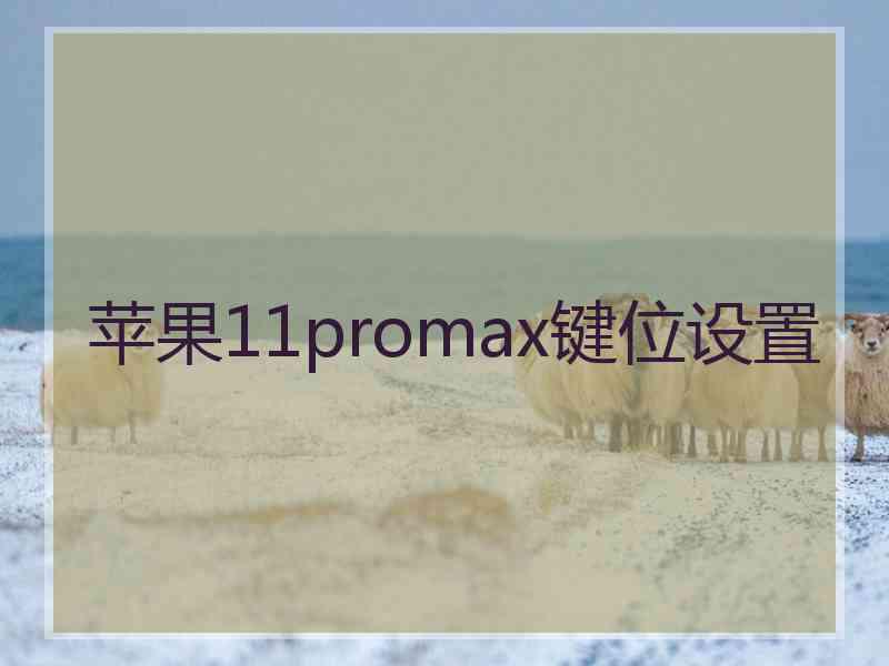 苹果11promax键位设置