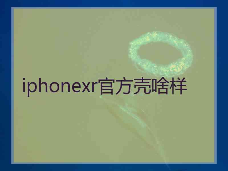 iphonexr官方壳啥样