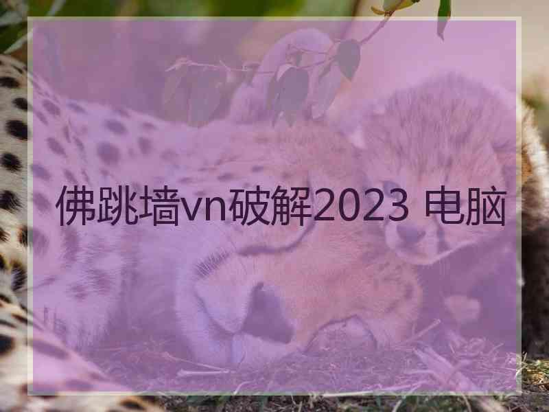 佛跳墙vn破解2023 电脑