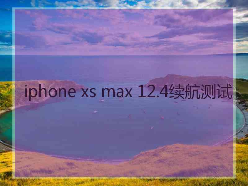 iphone xs max 12.4续航测试