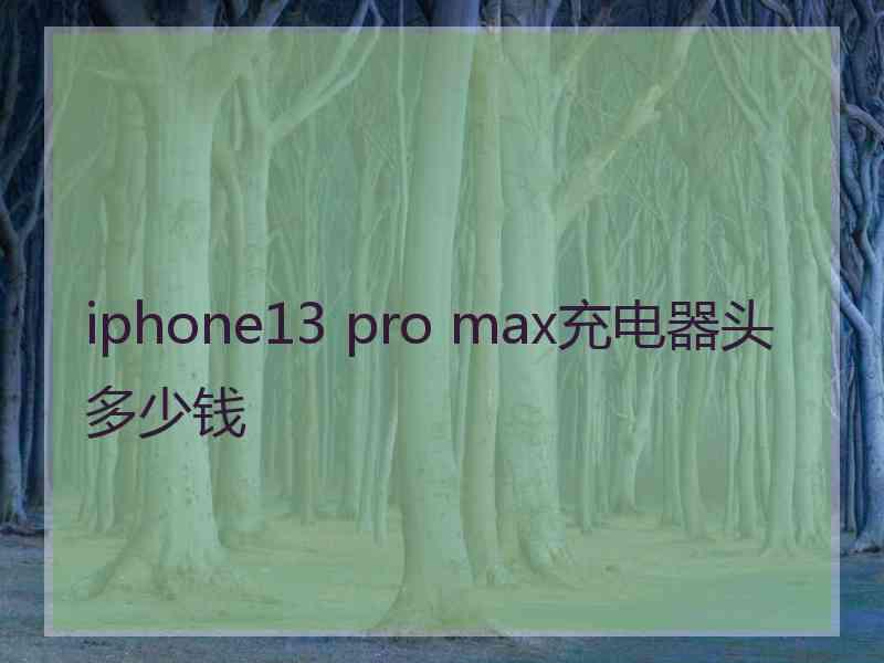 iphone13 pro max充电器头多少钱