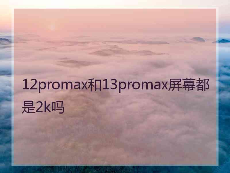 12promax和13promax屏幕都是2k吗