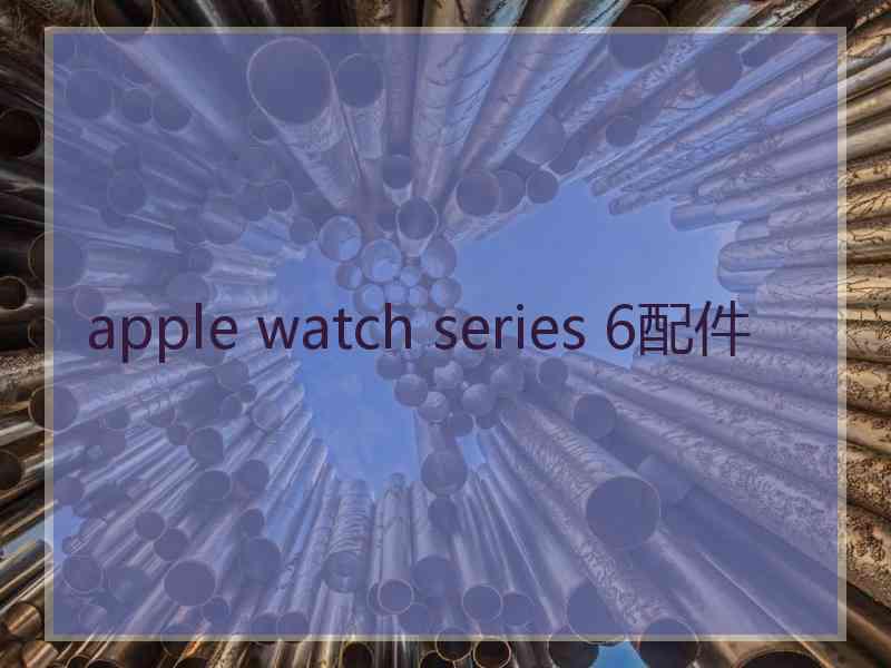 apple watch series 6配件