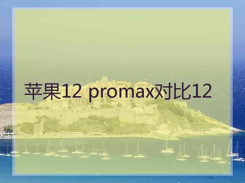 苹果12 promax对比12