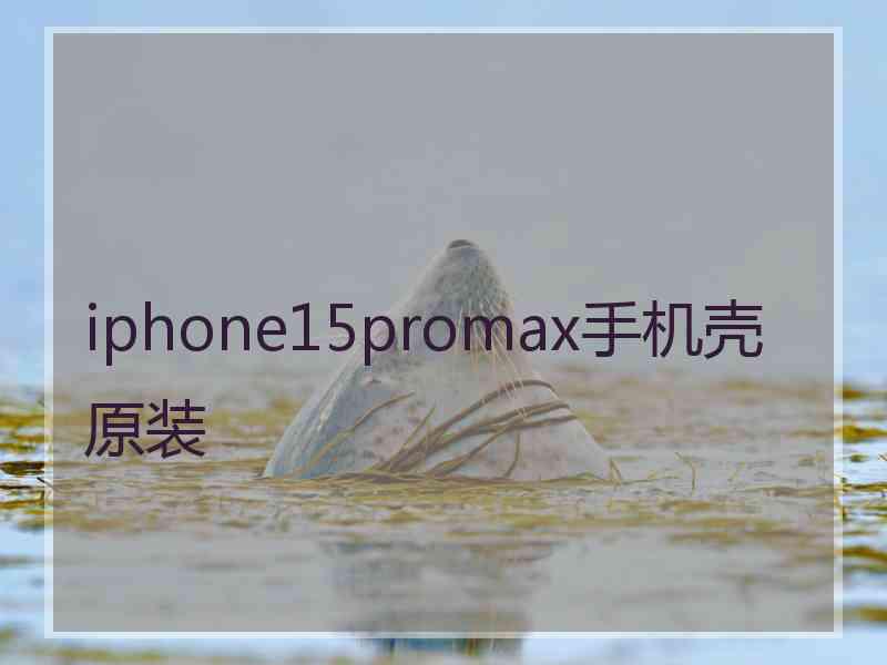 iphone15promax手机壳原装