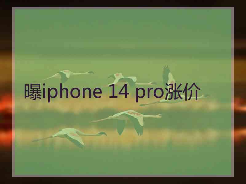 曝iphone 14 pro涨价