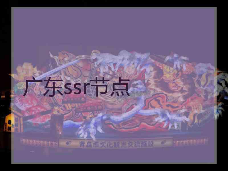 广东ssr节点