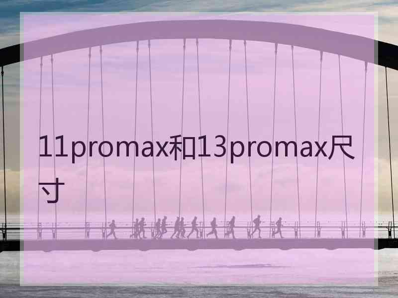 11promax和13promax尺寸