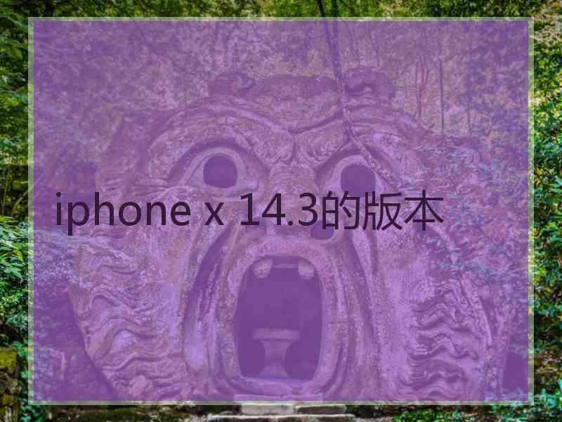 iphone x 14.3的版本