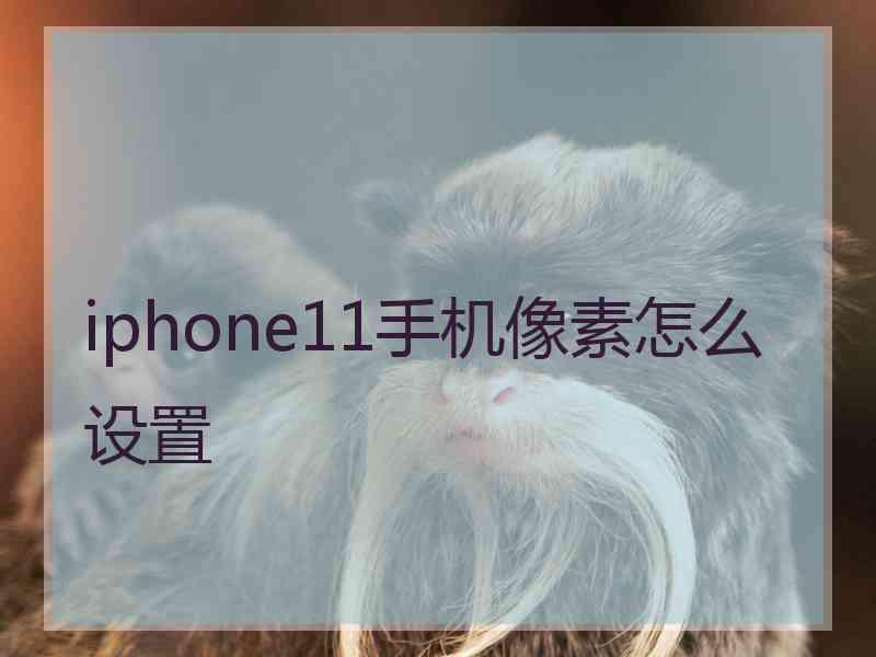 iphone11手机像素怎么设置