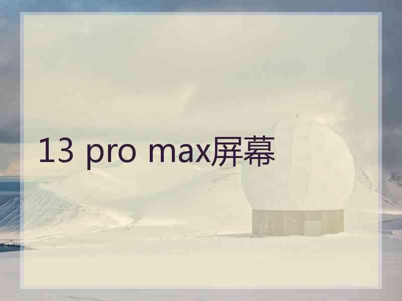 13 pro max屏幕