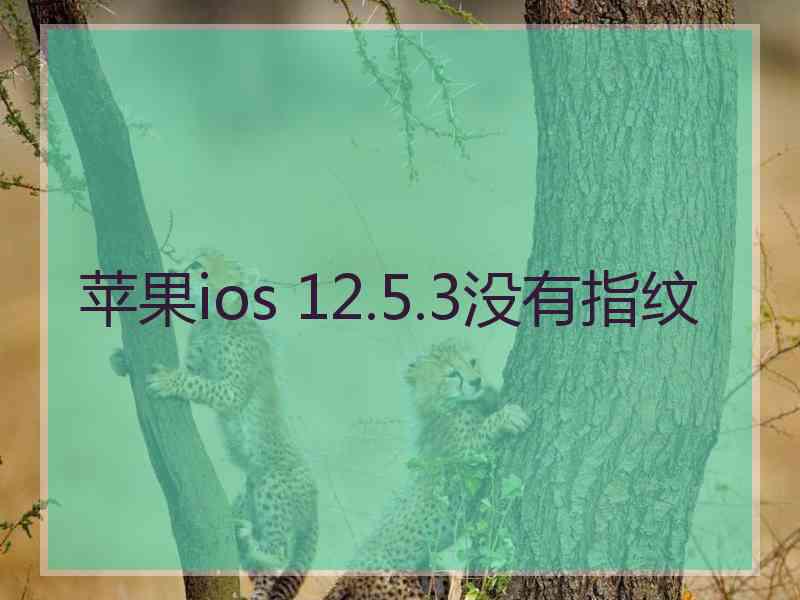 苹果ios 12.5.3没有指纹