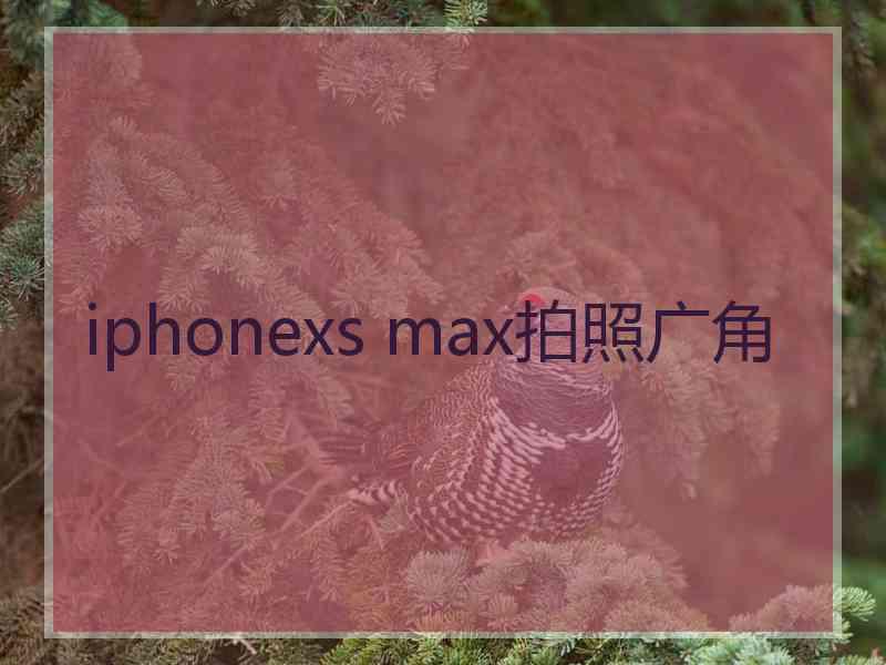 iphonexs max拍照广角