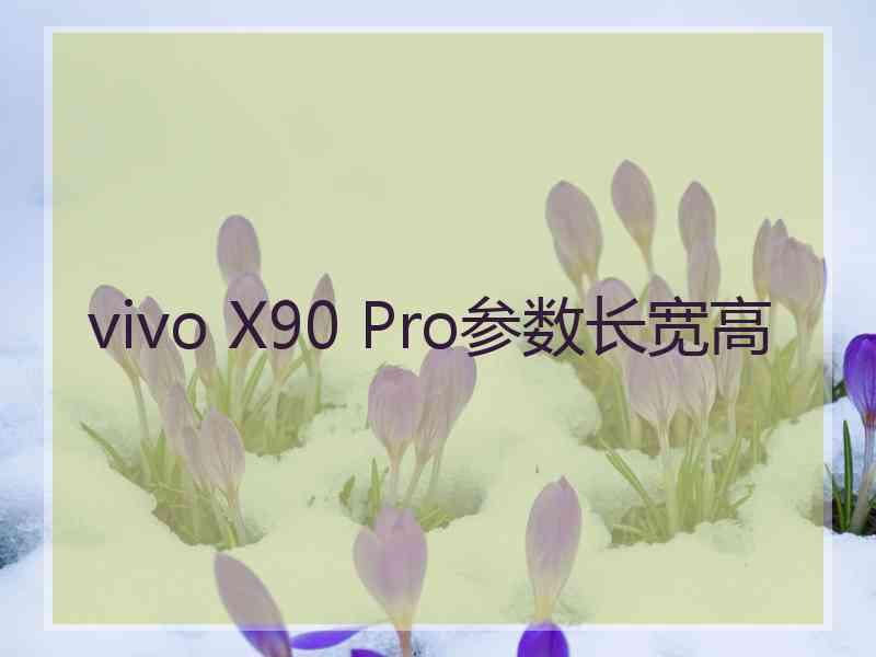 vivo X90 Pro参数长宽高