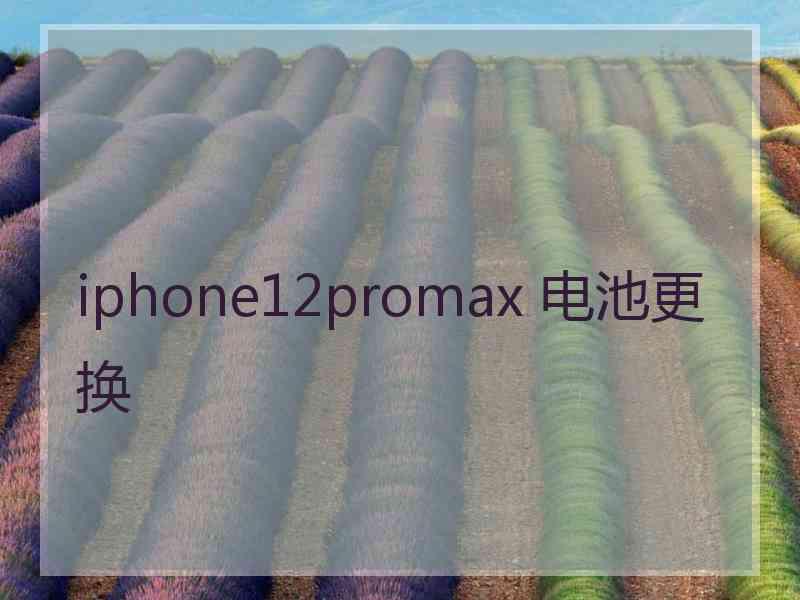 iphone12promax 电池更换