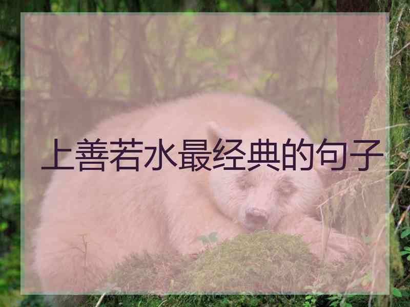 上善若水最经典的句子