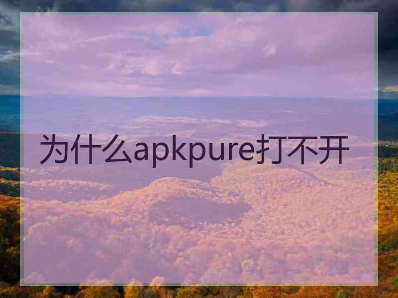 为什么apkpure打不开