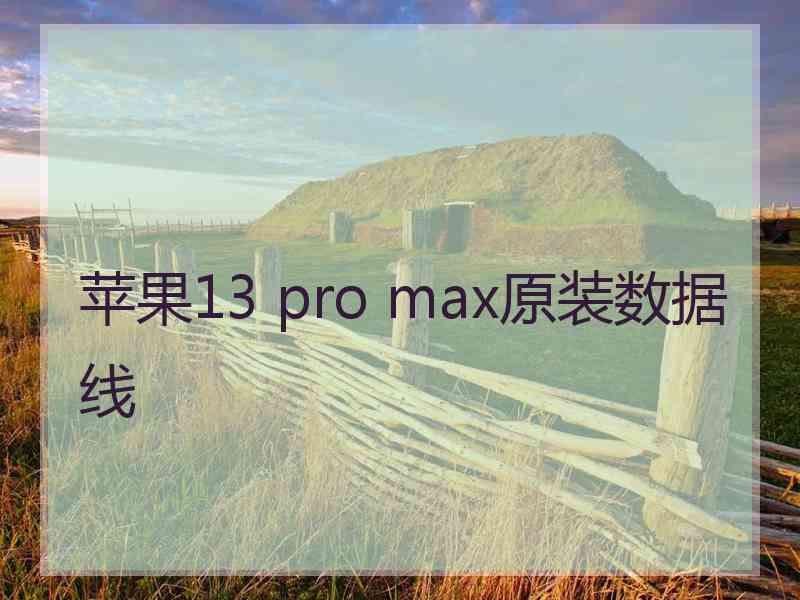 苹果13 pro max原装数据线