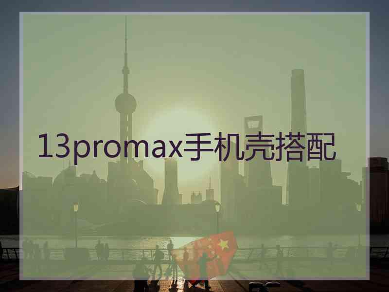 13promax手机壳搭配