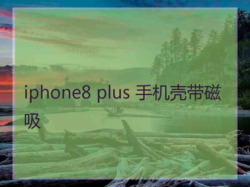 iphone8 plus 手机壳带磁吸