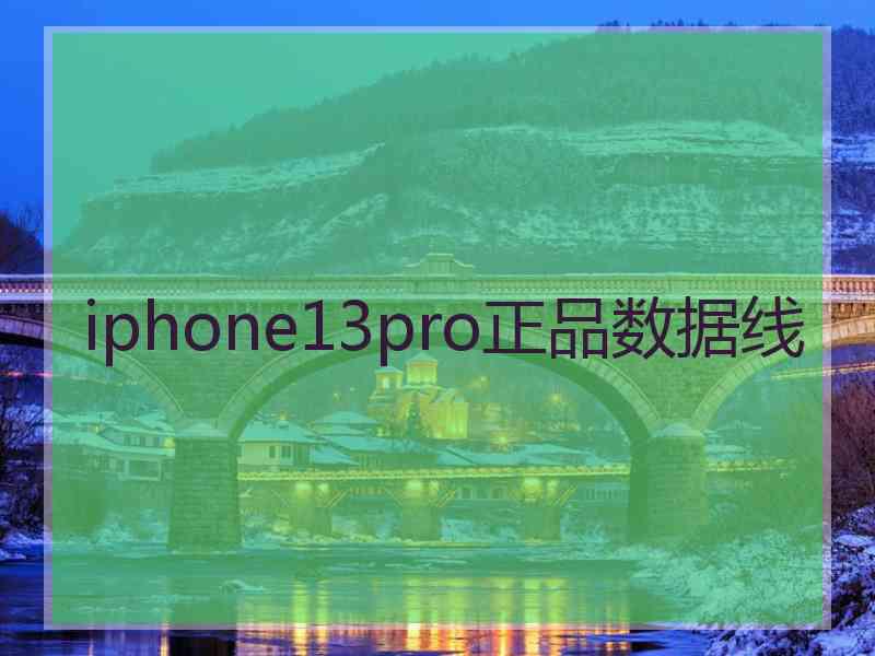 iphone13pro正品数据线