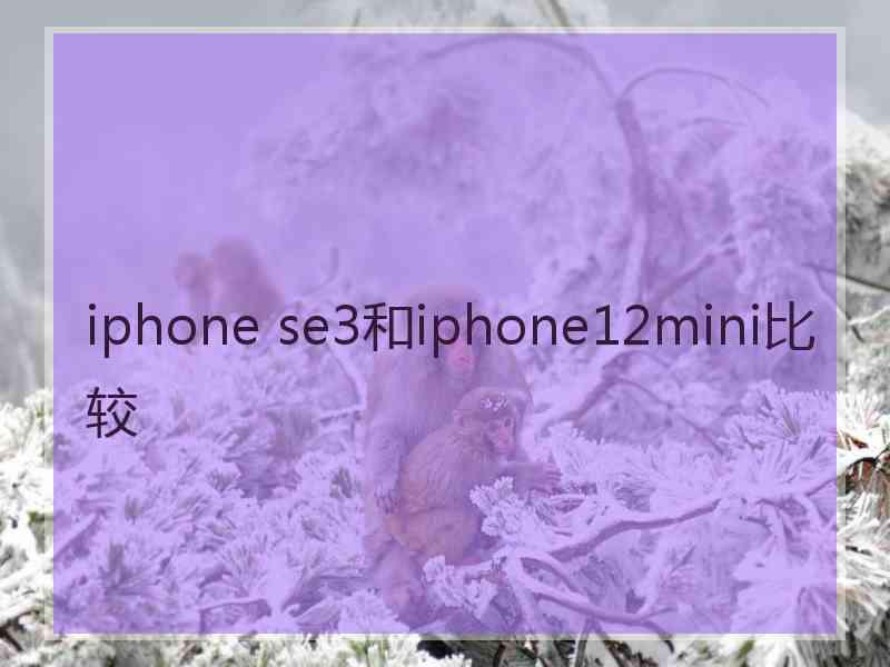 iphone se3和iphone12mini比较