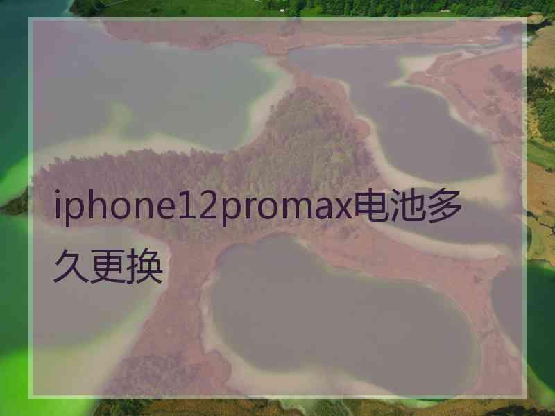 iphone12promax电池多久更换