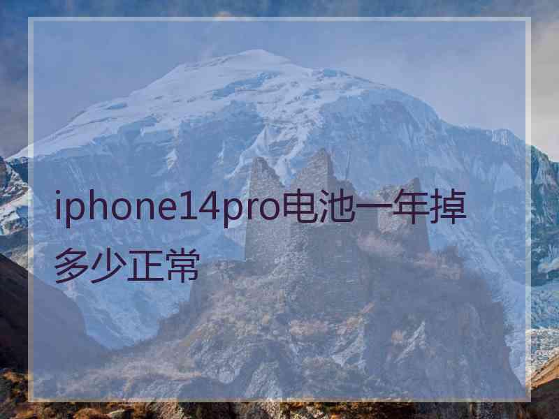 iphone14pro电池一年掉多少正常