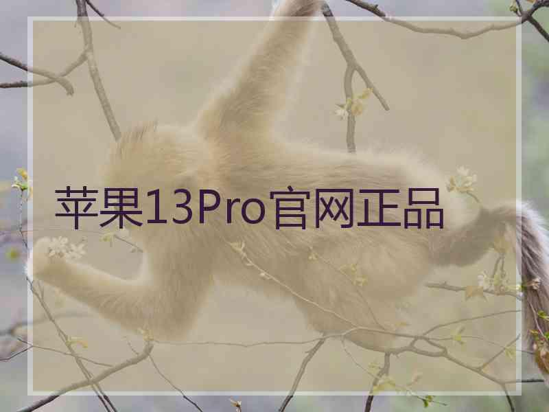 苹果13Pro官网正品