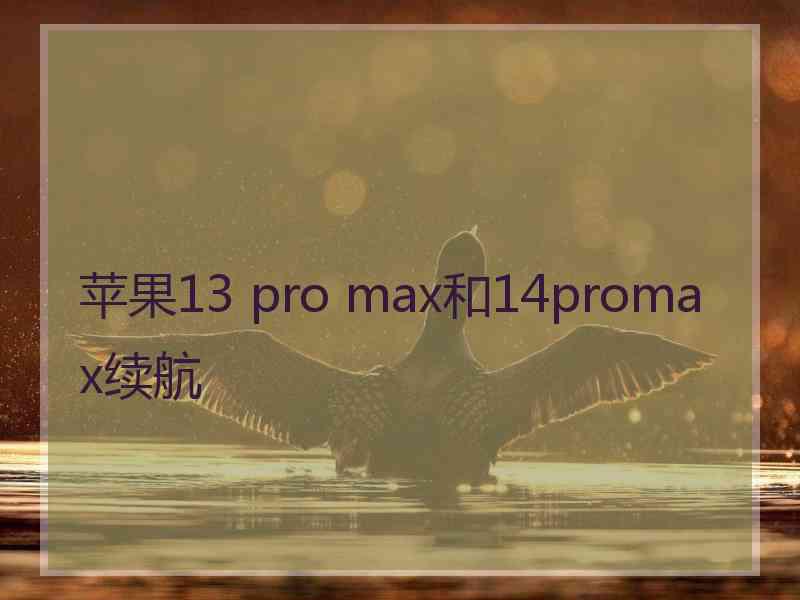 苹果13 pro max和14promax续航