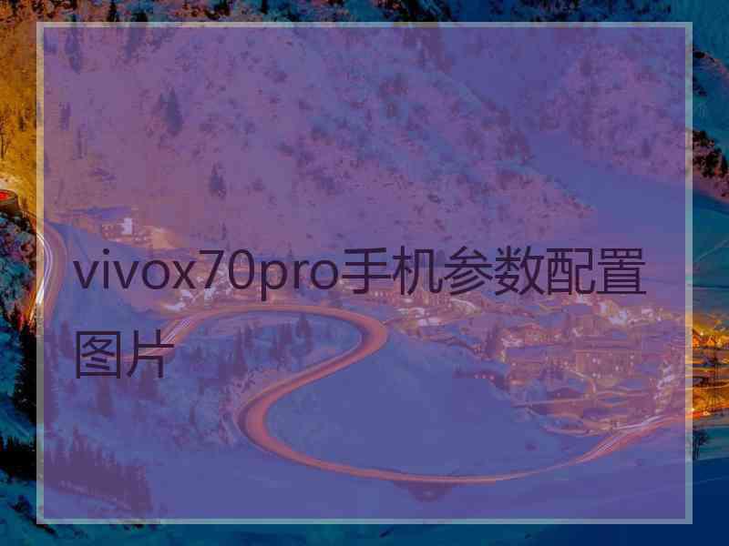 vivox70pro手机参数配置图片