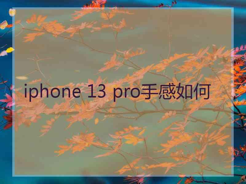 iphone 13 pro手感如何