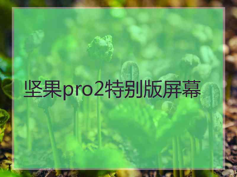 坚果pro2特别版屏幕