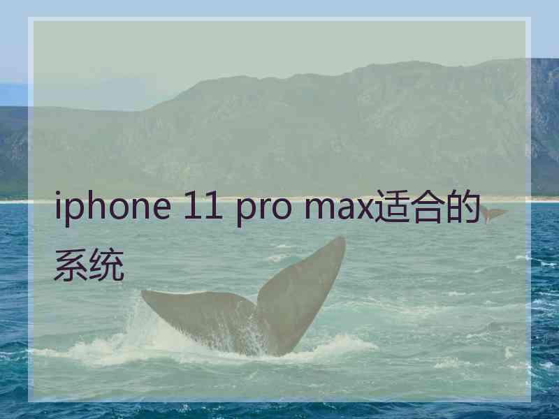 iphone 11 pro max适合的系统