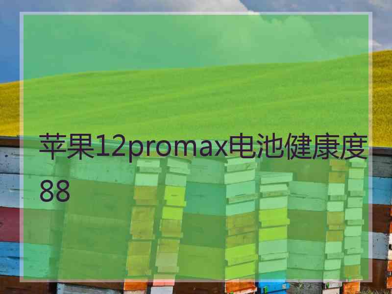 苹果12promax电池健康度88