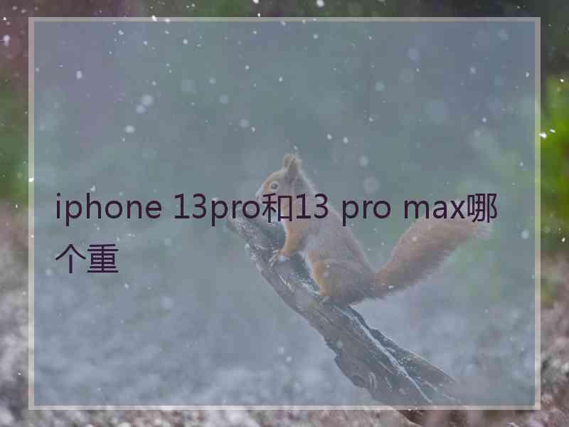 iphone 13pro和13 pro max哪个重