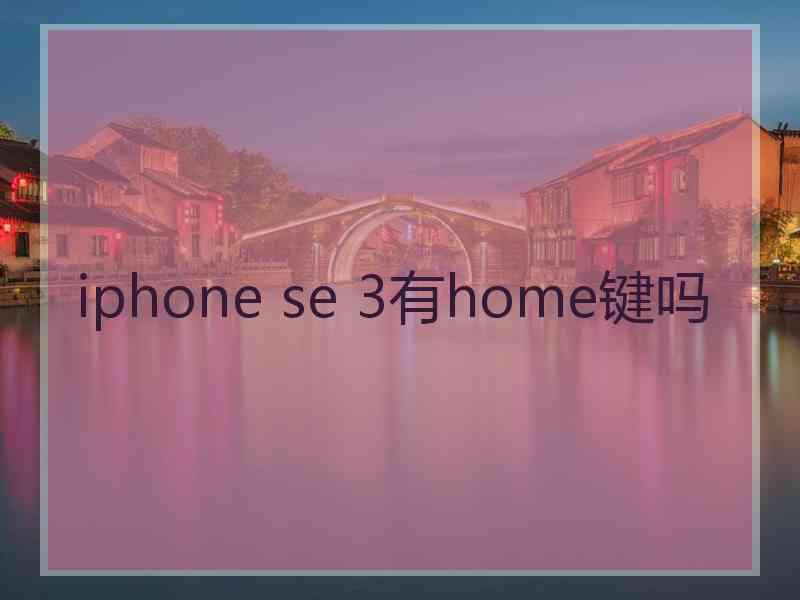 iphone se 3有home键吗