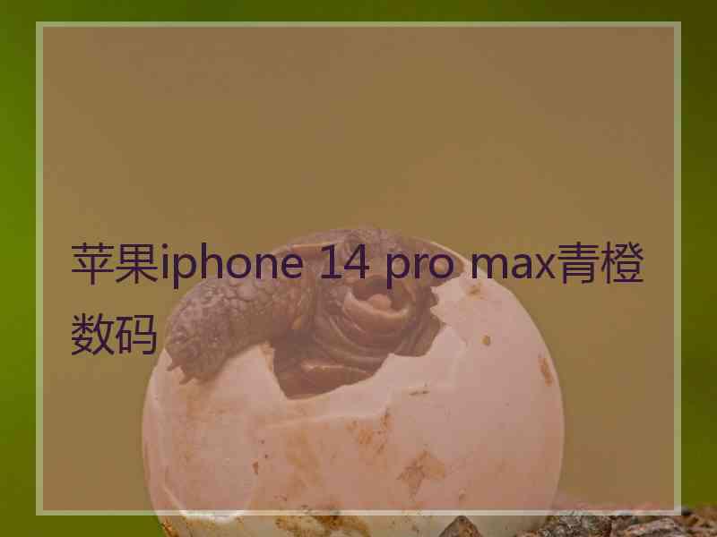 苹果iphone 14 pro max青橙数码